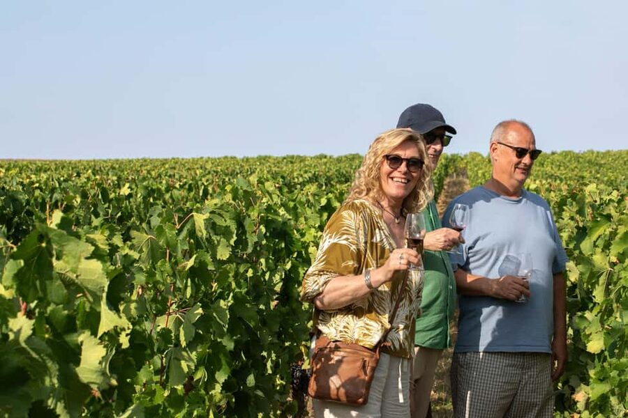From Bordeaux: Afternoon Saint-Emilion Wine Tasting & snack - Saint-Émilion Walking Tour: 5th-Century Roots in Real Streets