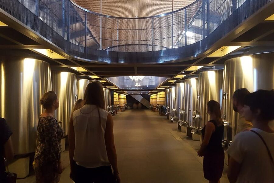 From Bordeaux: Full-Day Medoc Wine Tour - The guide effect: why English wine coaching changes everything
