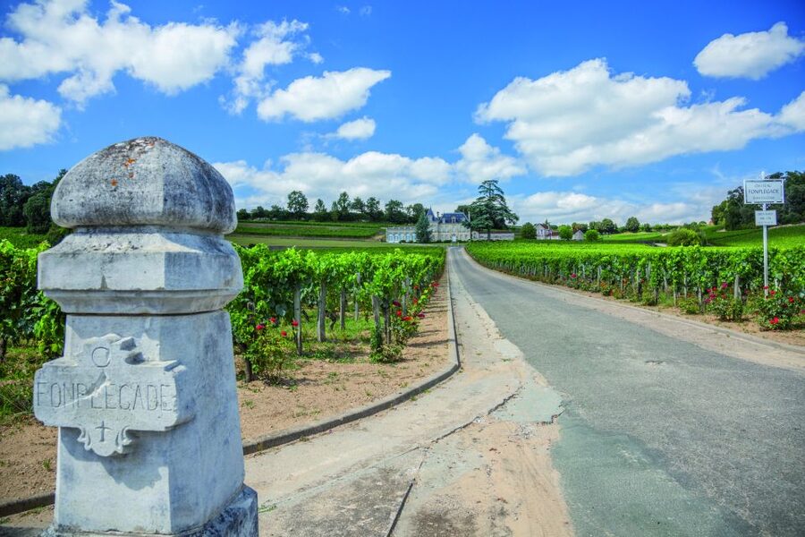 From Bordeaux: Full-Day St Emilion Wine Tasting Tour - Stop 1: your first classified-growth tasting stop