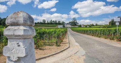 From Bordeaux: Full-Day St Emilion Wine Tasting Tour - Meeting in Bordeaux and the minivan rhythm