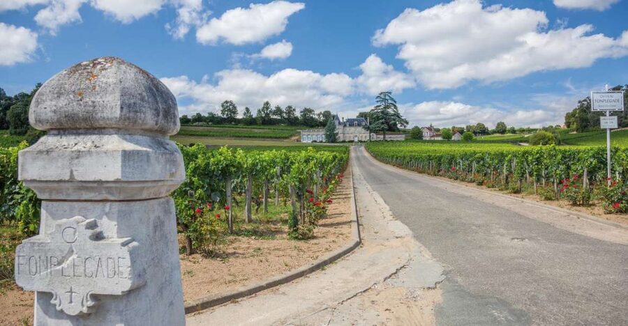 From Bordeaux: Full-Day St Emilion Wine Tasting Tour - Meeting in Bordeaux and the minivan rhythm