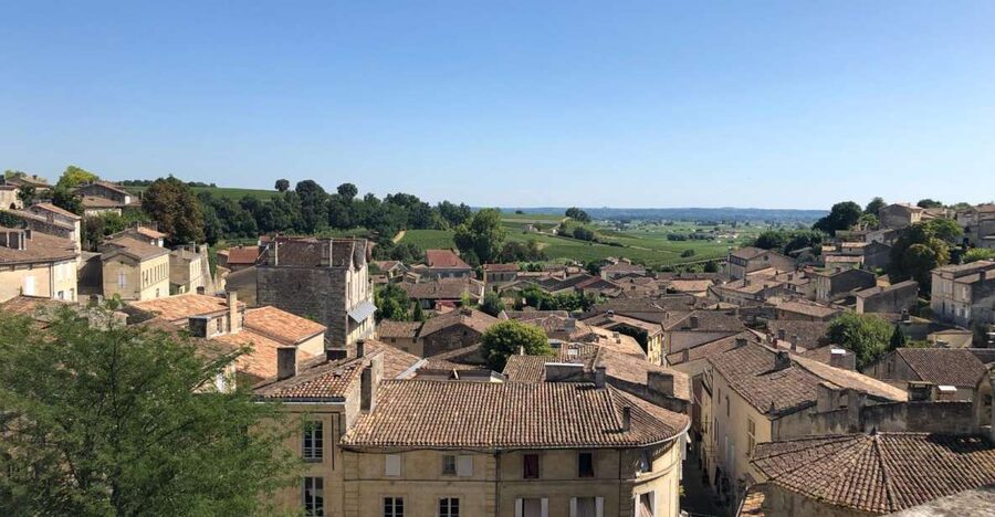 From Bordeaux: Half-Day Saint-Emilion Wine Tour - Saint-Émilion Village Time: Medieval Streets, Vineyards Views, and a Real Guided Walk
