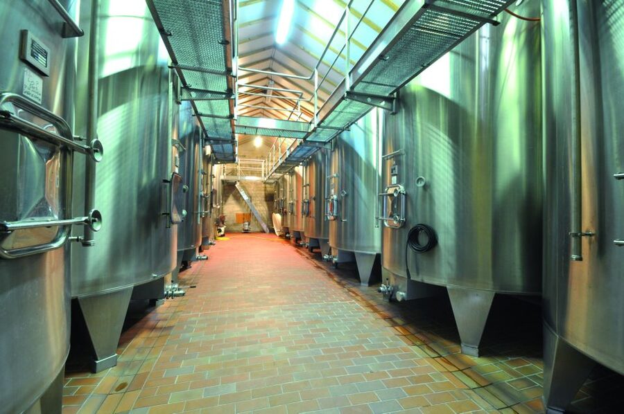 From Bordeaux: Medoc Half-Day Wine Tour - Should you book the Medoc Half-Day Wine Tour?