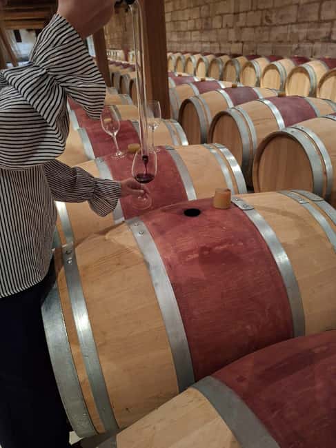 From Bordeaux: Medoc Wineries Tour with Tastings - Medoc Afternoon Tour From Bordeaux: The Vibe and the Value