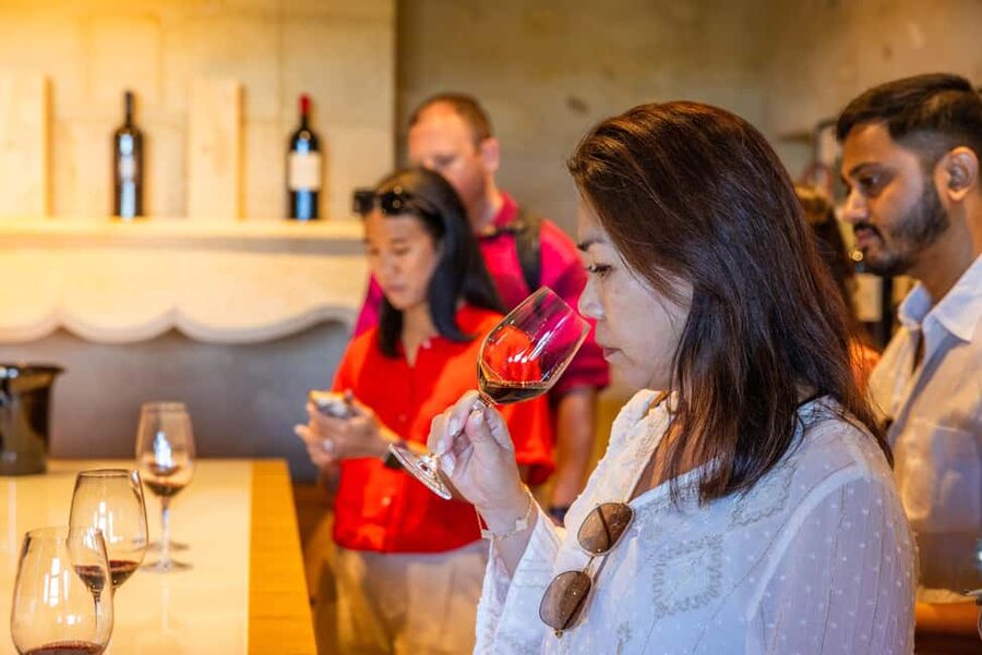 From Bordeaux: Saint-Emilion Guided Wine Tasting Tour - From Bordeaux to Saint-Émilion: the Mini Van Advantage
