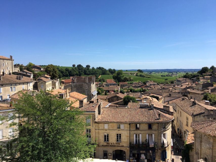 From Bordeaux: Saint-Emilion Guided Wine Tasting Tour - Timing, Meeting Point, and Small Things That Make the Day Go Smooth
