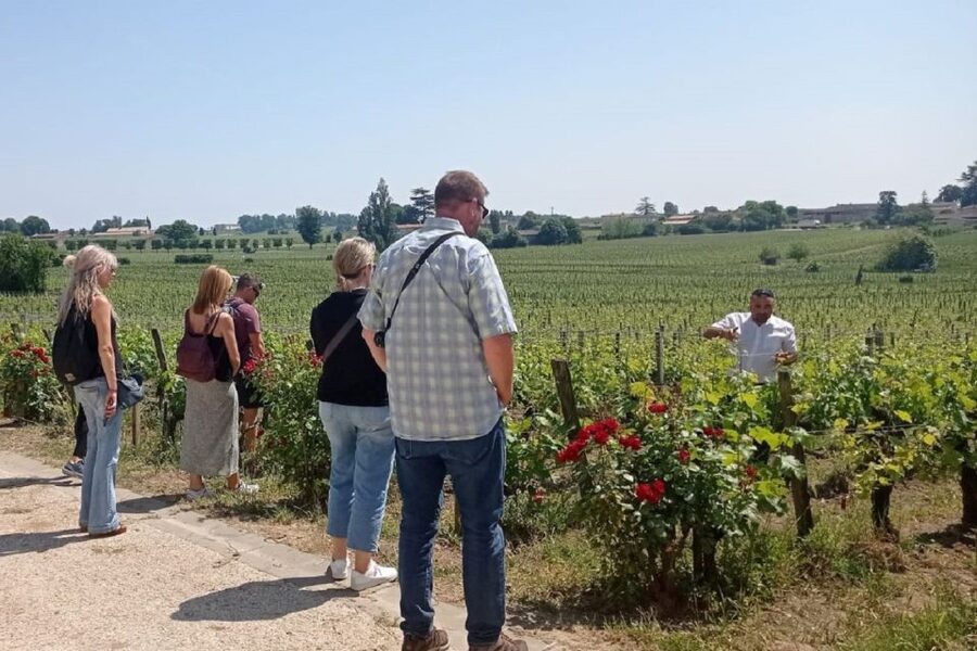 From Bordeaux: Saint-Emilion Guided Wine Tasting Tour - Who This Tour Is Best For (and Who Might Feel Frustrated)