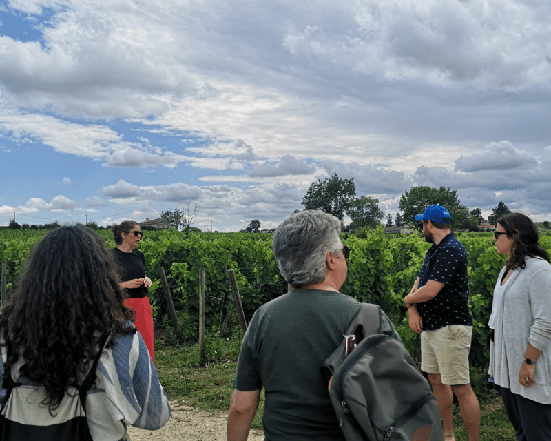 From Bordeaux: Saint-Émilion Half-Day Tour with Wine Tasting - Key Things You’ll Remember From This Saint-Émilion Tour