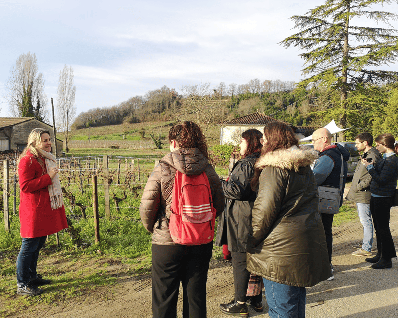 From Bordeaux: Saint-Émilion Half-Day Tour with Wine Tasting - Saint-Émilion Town Walk: Medieval Streets, Monuments, and Views