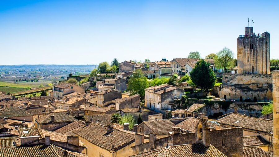 From Bordeaux: St. Emilion Village Half-Day Wine Tour - Getting the most from your guide (and asking better questions)