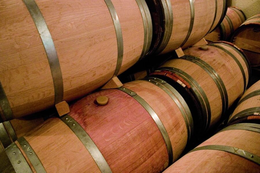 From Bordeaux: St. Emilion Village Half-Day Wine Tour - Who this tour suits best