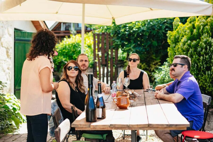 From Budapest: Etyek Wine Tasting Tour with 3-Course Meal - The Etyek village experience: where the tastings start making sense