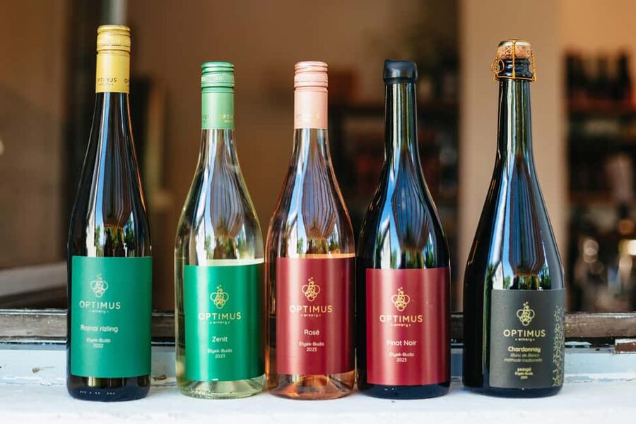 From Budapest: Etyek Wine Tasting Tour with 3-Course Meal - Stop 1: your first family cellar and your first set of 4 wines