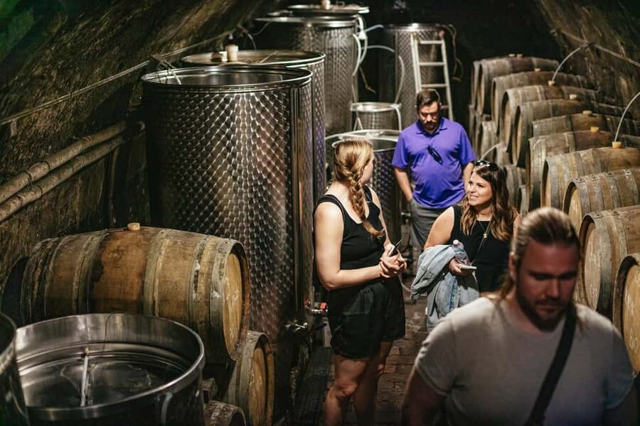 From Budapest: Etyek Wine Tasting Tour with 3-Course Meal - The included snacks during tastings: small help, big payoff