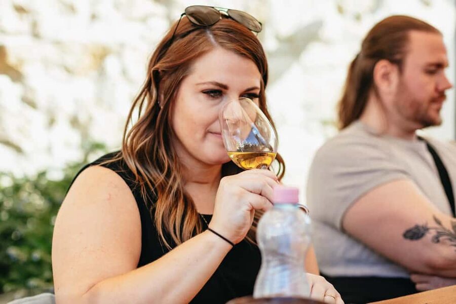 From Budapest: Half-Day Countryside Wine Tour with Meal - Who this tour fits best (and who might want a different plan)