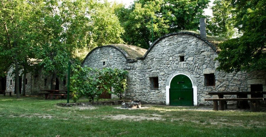 From Budpaest: Páty Wine Village Tour with Tastings - Who should book this (and who might want a different tour)