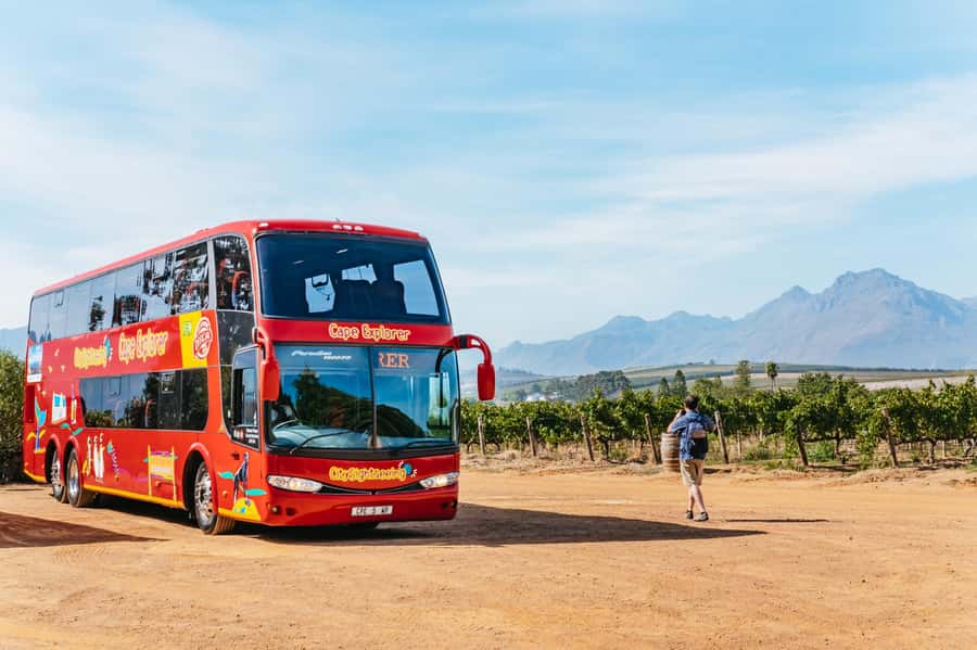 From Cape Town: 3 Regions Wine Tour with 3 Estates, 15 Wines - Why This Winelands Loop Works From Cape Town