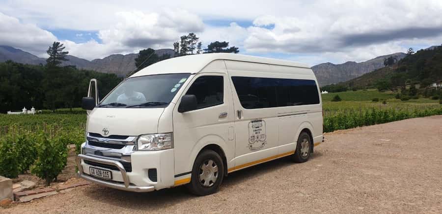 From Cape Town: Stellenbosch Four Estate Full-Day Wine Tour - A Small Group Means You Actually Get Conversations, Not Just Chronology