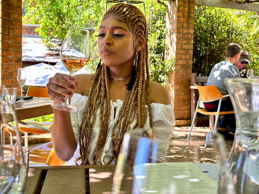 From Cape Town: Stellenbosch & Franschhoek Wine Tasting Tour - A 9-Hour Winelands Taste Trail From Cape Town