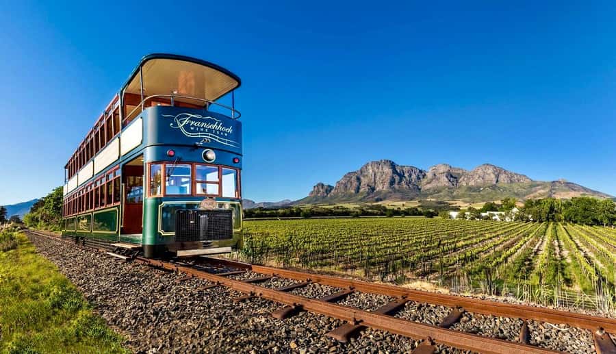 From Cape Town: Winelands Full Day Tour and Wine Tasting - A Winelands day that feels different from Cape Town’s coast
