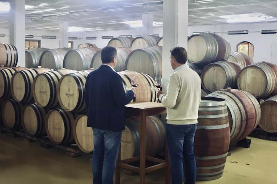 From Cape Town: Winelands Full Day Tour and Wine Tasting - Who this tour fits best