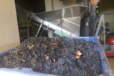 From CapeTown: Stellenbosch Half Day Wine Tour - Getting picked up and routed to Paarl + Stellenbosch