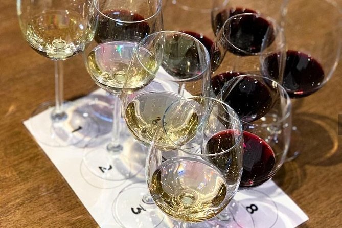 From CapeTown: Stellenbosch Half Day Wine Tour - Biltong and wine pairing: a different kind of South African snack