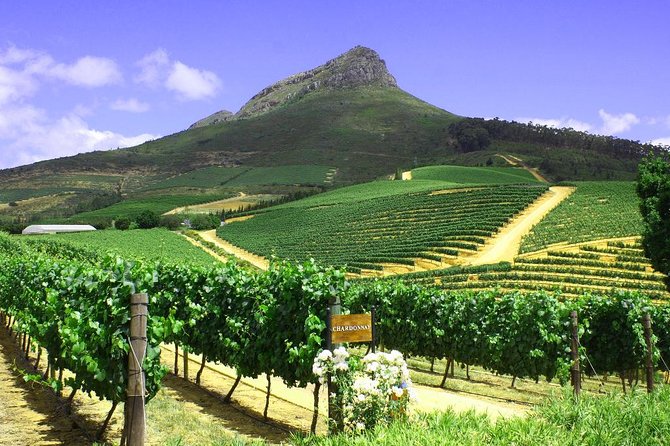 From CapeTown: Stellenbosch Half Day Wine Tour - Price and value: what $53.72 buys you here