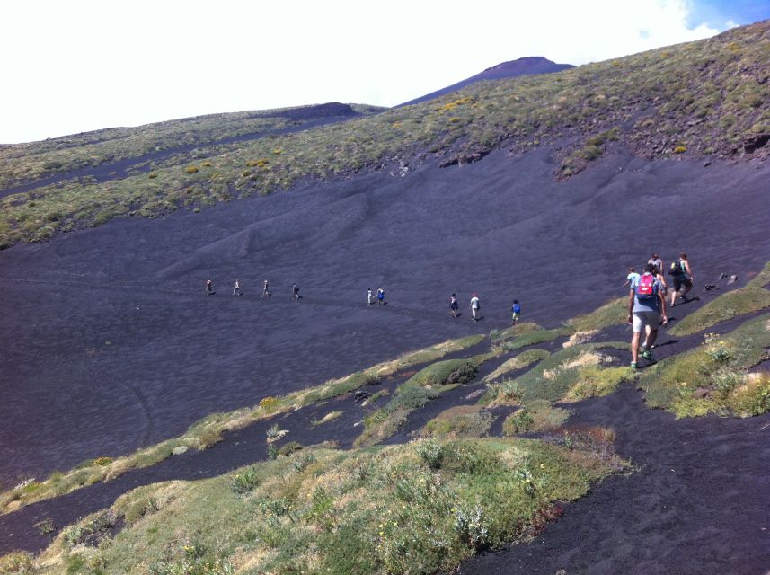 From Catania: Mount Etna Half-Day Tour and Wine Experience - What You’ll Eat With Wine: More Than Snacks