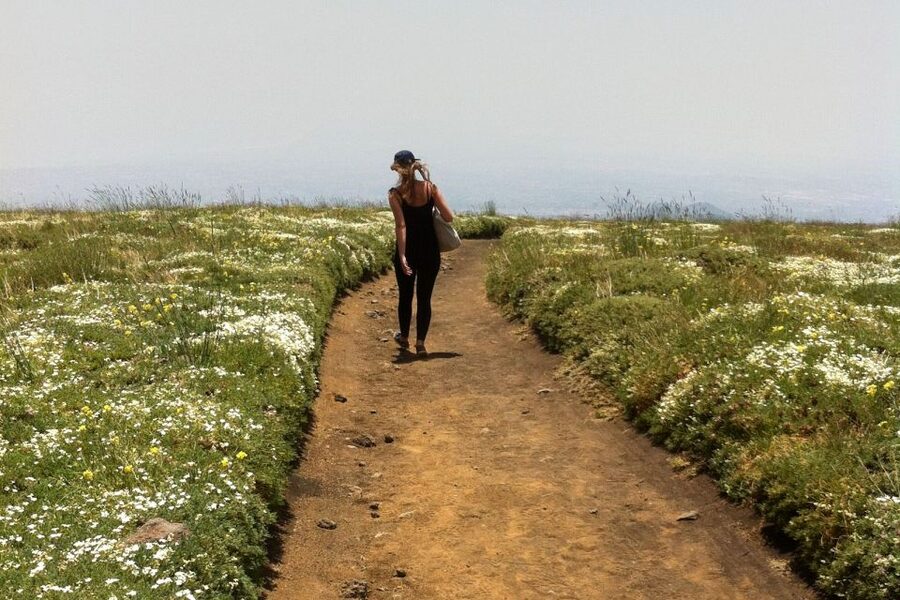 From Catania: Mount Etna Half-Day Tour and Wine Experience - Timing and Pace: How a 7-Hour Day Stays Fun