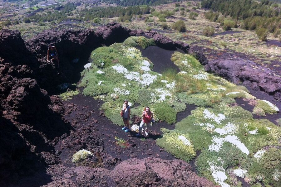 From Catania: Mount Etna Half-Day Tour and Wine Experience - Value: Why the Volcano + Wine Combo Makes Sense