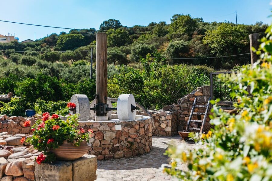 From Chania: Wine and Olive Oil Tasting Tour with Snacks - Olive oil factory tour: extra virgin production and tasting with local products