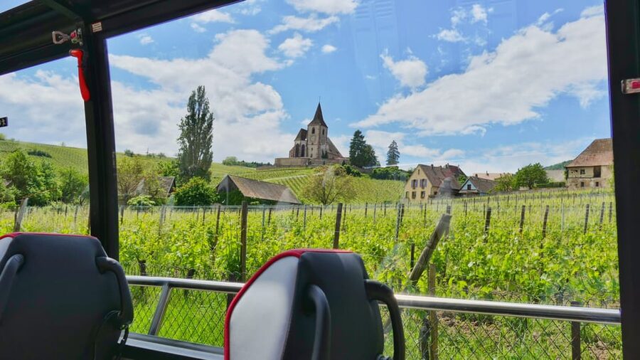 From Colmar: Alsace Medieval and Wine Tasting Day Tour - Winery wine tasting: included, but treat it like part of the story