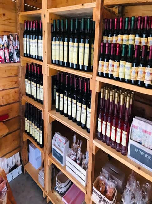 From Dubrovnik: Half-Day Wine Tasting and Cavtat City Tour - From liquors to wines: the tasting flow that makes sense