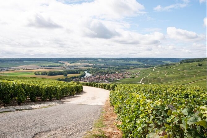 From Epernay: Champagne Small-Group tour with tastings & Lunch - What 5 tastings plus lunch means for your palate