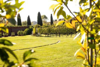 From Florence: Chianti Half-Day Wine Tour with Tasting - Poggio ai Laghi: your first tasting, Tuscan snacks, and a guided cellar tour
