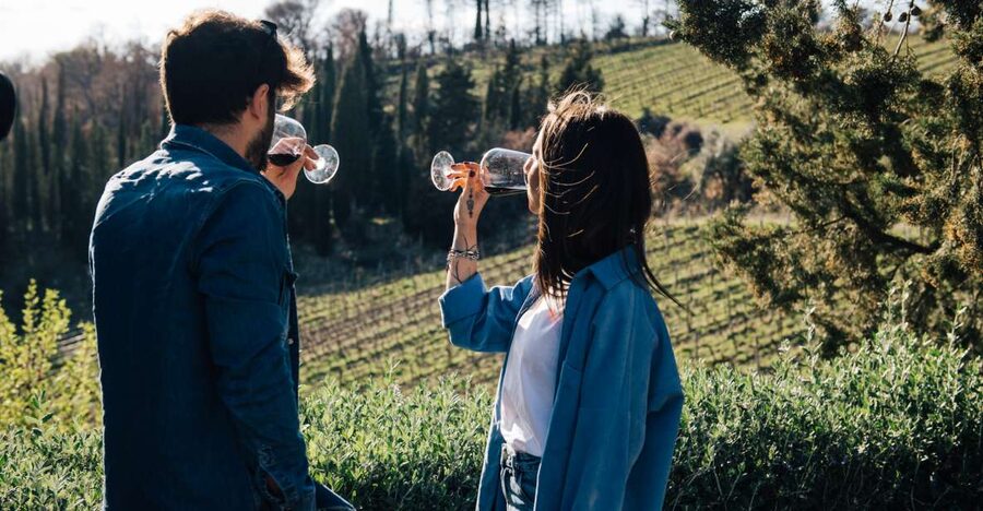 From Florence: Chianti Hills Half-Day Tour with Wine Tasting - The big idea: why Chianti in a half-day tour makes sense