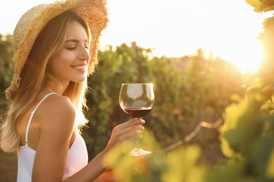 From Florence: Chianti Hills Half-Day Tour with Wine Tasting - Vine-row walk in the Chianti hills: the part that makes it feel real