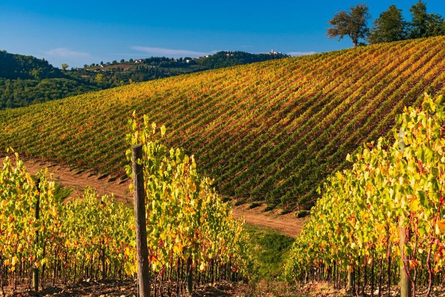 From Florence: Chianti Hills Half-Day Tour with Wine Tasting - The vinegar factory stop: balsamic and vin santo lessons you’ll taste