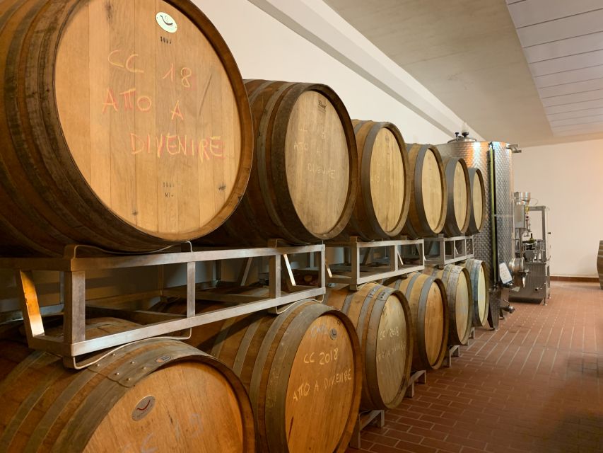 From Florence: Chianti Hills Half-Day Tour with Wine Tasting - The guided tasting of seven wines: what you’re really paying for