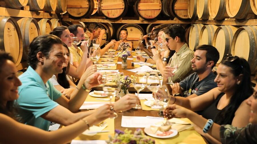 From Florence: Chianti Tour with Two Wine and Food Tastings - First Winery Visit: Organic Chianti Classico With Vineyard Walks and Cellars