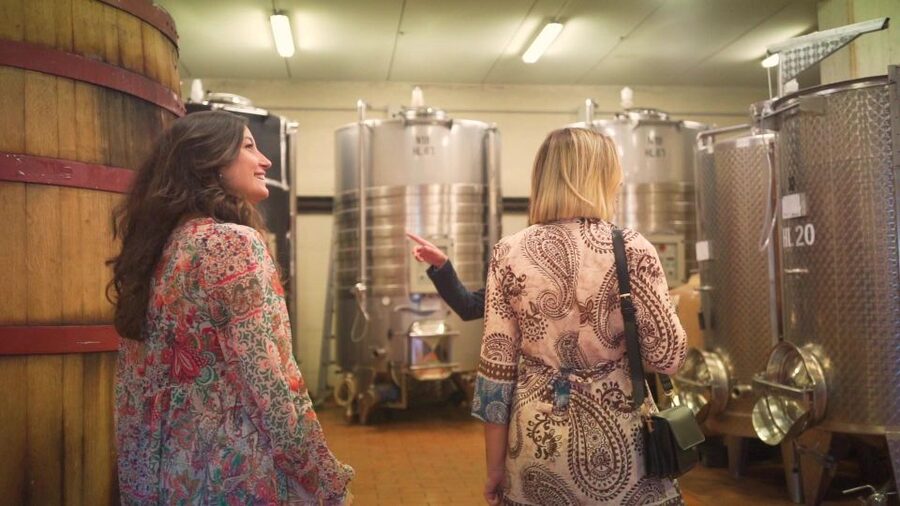 From Florence: Chianti Tour with Two Wine and Food Tastings - Second Tasting of Four Wines: More Structure, More Variety