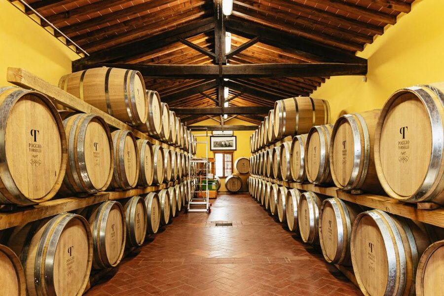 From Florence: Chianti Wine and Food Tasting Safari - Second estate in the Chianti hills: Chianti Classico and award-winning pours