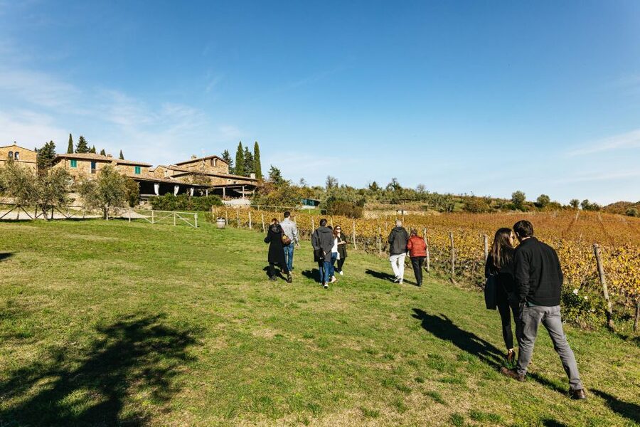 From Florence: Chianti Wine and Food Tasting Safari - The full tasting program: 8 wines, cheese, cured meats, plus olive oil