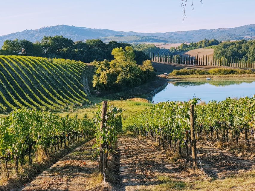From Florence: Chianti Wine Tastings at Sunset Day Trip - What Makes This Sunset Chianti Trip Work So Well
