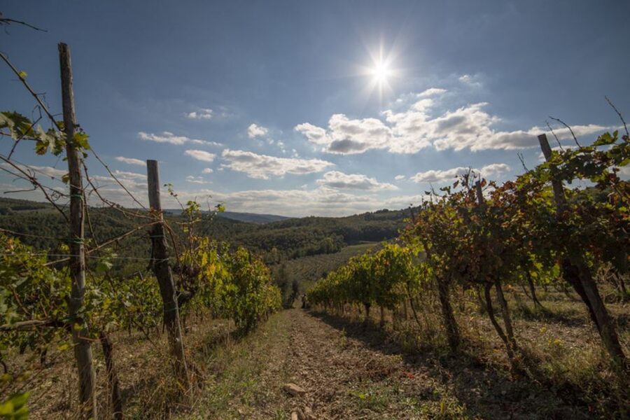 From Florence: Chianti Wine Tastings at Sunset Day Trip - Sunset Timing from Florence: Why This Afternoon Feels Different