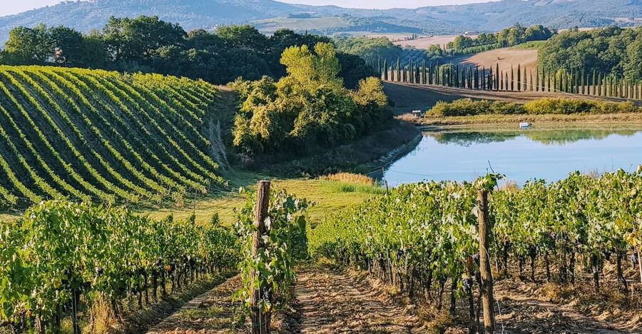 From Florence: Chianti Wine Tastings at Sunset Day Trip - Winery Stop One: Cellar Tours and Snacks That Set the Tone
