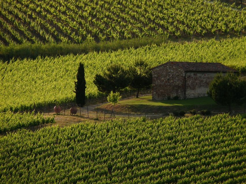 From Florence: Chianti Wine Tastings at Sunset Day Trip - The Drive Out: Comfort, Photo Stops, and Real Chianti Views