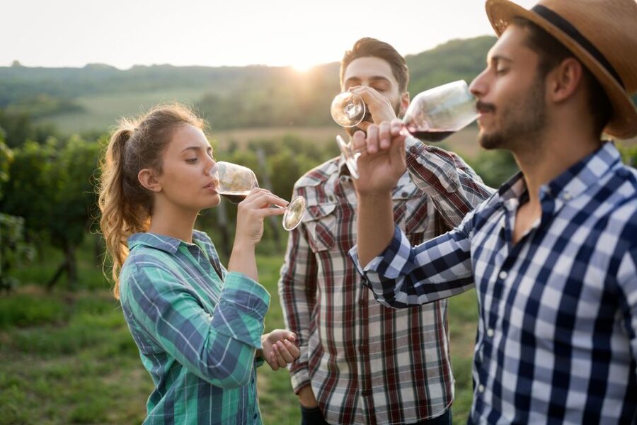 From Florence: Chianti Wine Tour with Tasting - Stop Two in the Olive Hills: Another Tasting Plus Photo Time