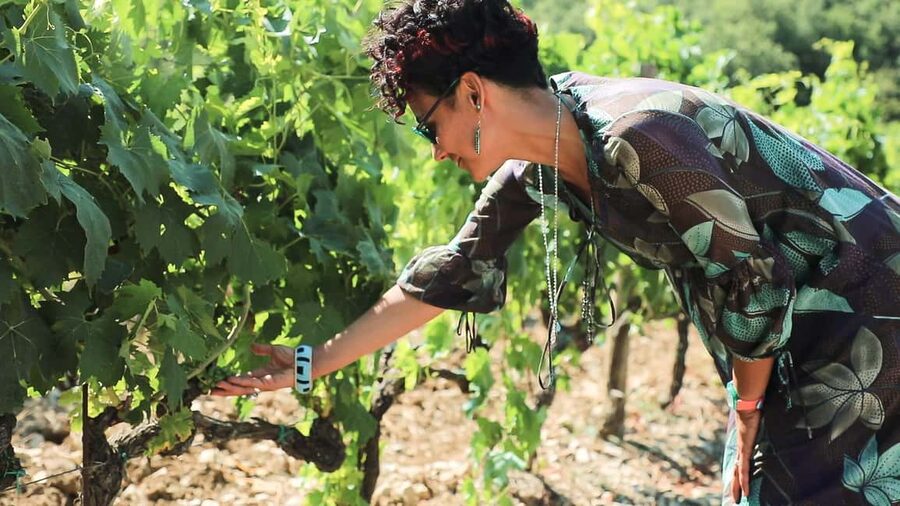 From Florence: Chianti Wine Tour with Tastings - Key Highlights You’ll Feel in Your Day